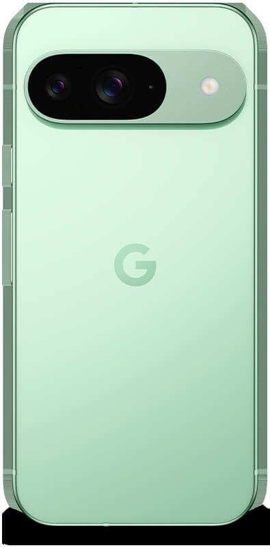 Google Pixel 9 Wintergreen, Rückansicht