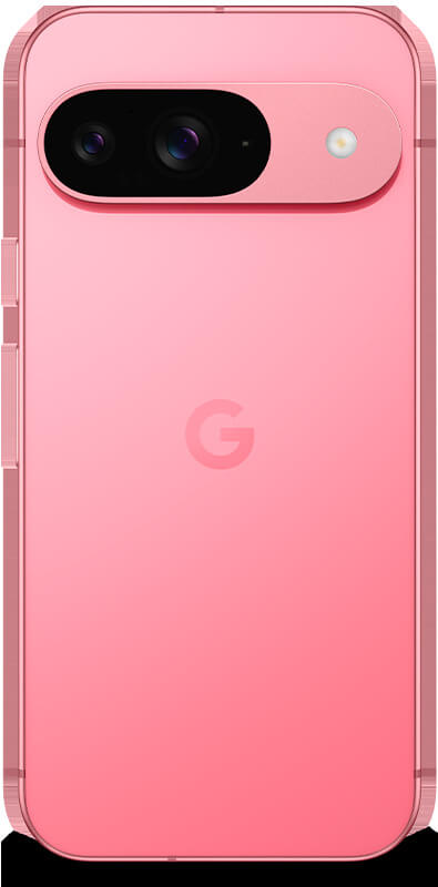 Google Pixel 9 Peony, Rückansicht