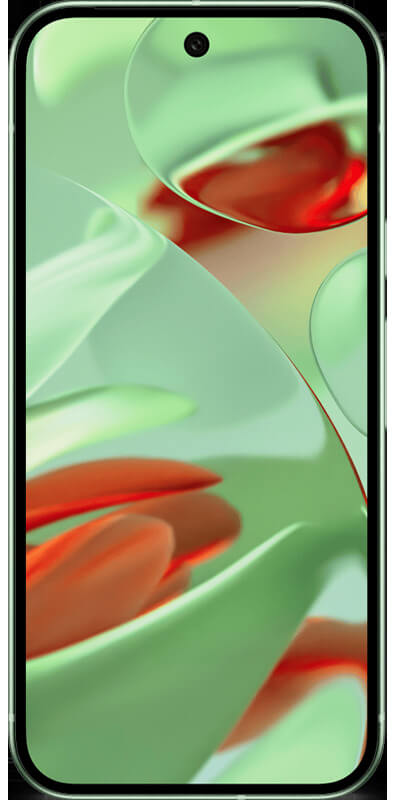 Google Pixel 9 Wintergreen, Vorderansicht