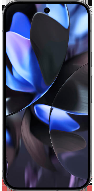 Google Pixel 9 Pro Obsidian, Vorderansicht