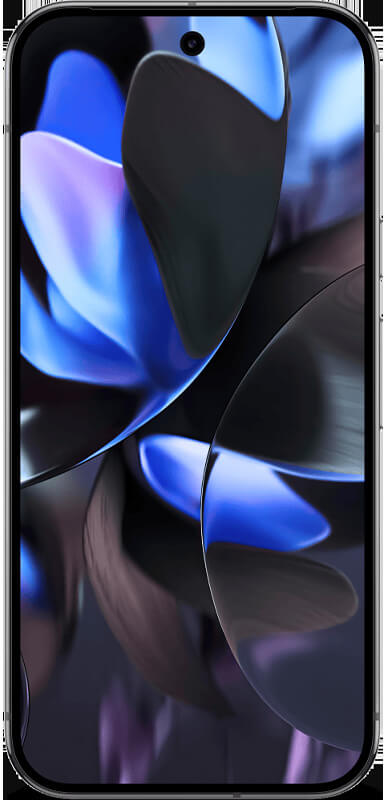 Google Pixel 9 Pro XL Obsidian, Vorderansicht