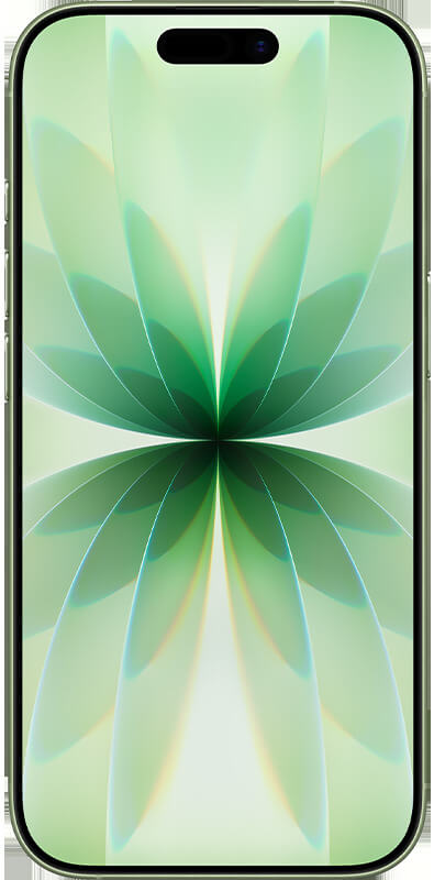 Apple iPhone 17 Salbei, Vorderansicht