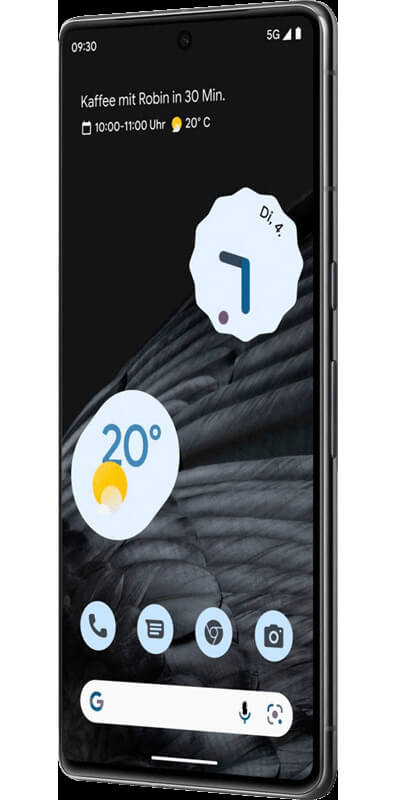Google Pixel 7 Pro Dual Sim  Obsidian, Rückansicht