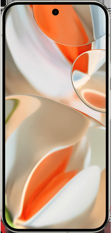 Google Pixel 9 Pro XL Porcelain, Vorderansicht